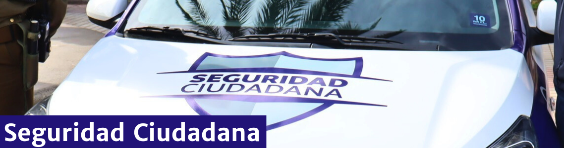 Seguridad Ciudadana